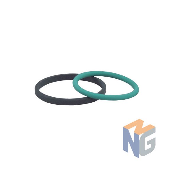 Glyd ring with o-ring